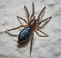 Over the last few months I have been trying out macro photography in which my lens has to be no further than 10 cm away from my subject.