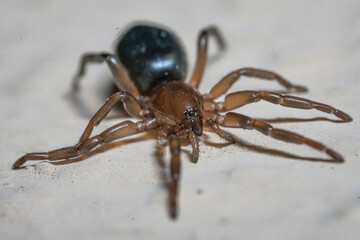 Over the last few months I have been trying out macro photography in which my lens has to be no further than 10 cm away from my subject.
