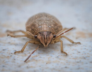 Over the last few months I have been trying out macro photography in which my lens has to be no further than 10 cm away from my subject.