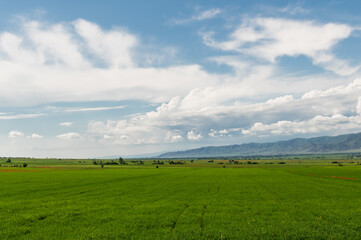 Mountain green valley and cloudy sky.Pasture in mountain valley.Mountain landscape.Natural...