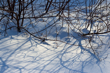 Shiny snow on a winter sunny day