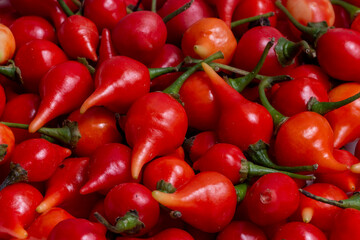 Chili peppers called biquinho in a bowl