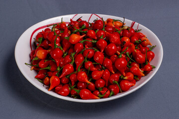 Chili peppers called biquinho in a bowl