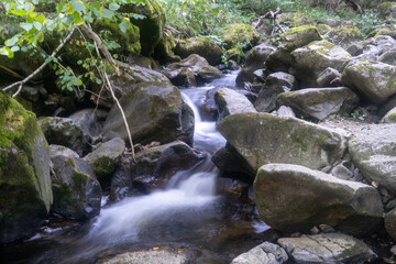 Obraz premium stream in the forest, waterfall in the forest, wet big rocks, river with rocks, fast water between rocks, green forest with stream, fast stream in germany, small stream with clean water