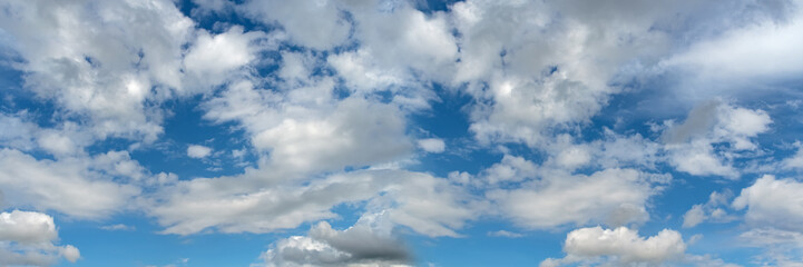 Fototapeta premium Panoramic fluffy cloud in the blue sky.