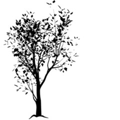 drawing picture graphic logo emblem icon nature background tree plants petals leaves beauty