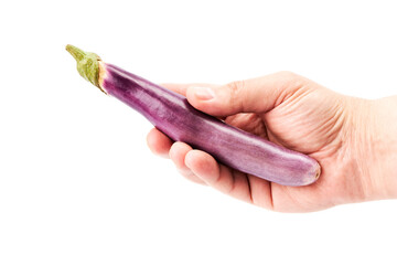 Hand of a man holding a purple Japanese eggplant