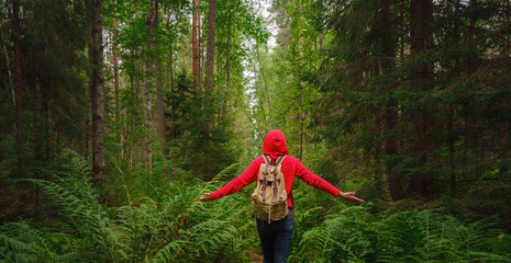 journey in summer Russia, Komarovo village, ecological trail Komarovsky coast. Woman from behind...