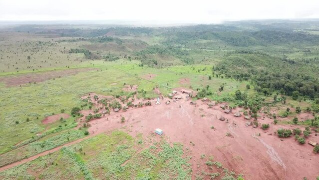Aerial image of a devastated area in the Amazon after soybean planting.