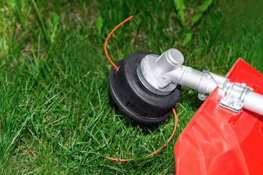 Reel of gas trimmer with fishing line, lawn mower on grass background. Trimmer head