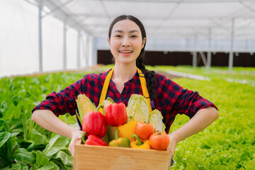 asian small business owner greenhouse hydroponic farm business owner hand hold fresh vegetable harvest green product with cheerful and happiness,Concept of growing organic vegetables and health food