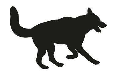 Running and jumping german shepherd dog puppy. Black dog silhouette. Pet animals. Isolated on a white background.