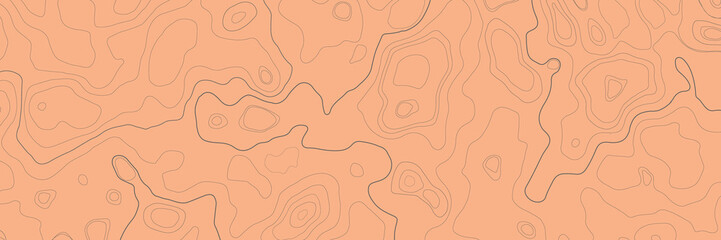 Topographic map lines background. Abstract vector illustration. Contour vector map.