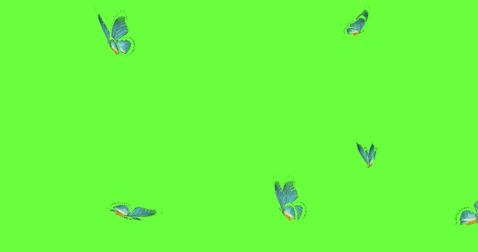 Animated blue butterflies on a green screen.