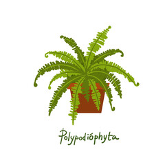 Houseplants vector illustrations. Urban jungls. Plants are friends. - 509839969