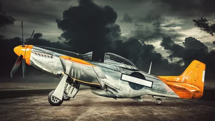 Photo sur Plexiglas Ancien avion historical warbird against a dramatic sky