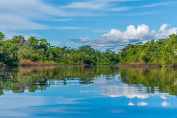 Obraz premium The tranquil Amazon River