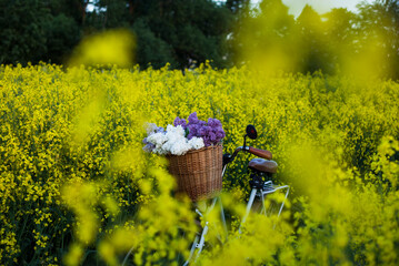 bike with basket with flowers against rapeseed field