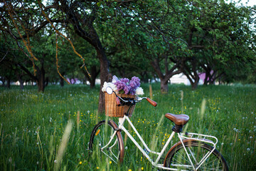 vintage bike with a bouquet of lilac flowers in the wicker basket in the spring blooming apple garden