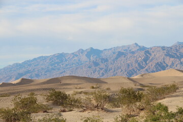 Fototapeta na wymiar Mesquite sand dunes, Death Valley National Park, Death Valley, Inyo County, California