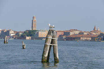 postcard from romantic lagoon of Venice Italy