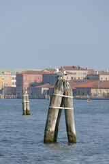 postcard from romantic lagoon of Venice Italy