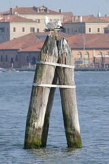 postcard from romantic lagoon of Venice Italy