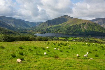 Fototapeta na wymiar County Kerry, Healy Pass, Irland