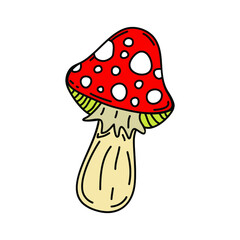Amanita mushroom isolated on white background, red with white spots forest poisonous mushroom. Vector illustration.