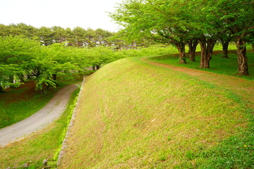 Hakodate Goryokaku fort surrounded by canal from Goryokaku Tower in Hokkaido, Japan - 日本 北海道 函館市 五稜郭 