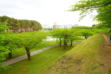 Hakodate Goryokaku fort surrounded by canal from Goryokaku Tower in Hokkaido, Japan - 日本 北海道 函館市 五稜郭 