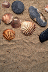 Fototapeta na wymiar Shells and stones on the beach sand