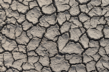 Textured dry grey ground. Cracked flakes of soil. Food crisis and drought on the planet. Ecological background. Top view