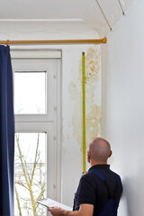 Man measuring the extent of a big patch of mold or mildew growing behind the drapes of a white...