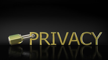 Padlock locks word "privacy", 3D rendering, 3D illustration