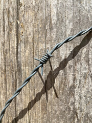 alambre de espino alambrada valla  IMG_6539-as22