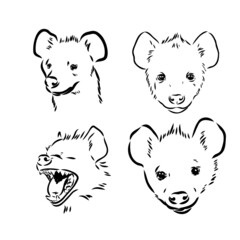 Obraz premium Vector hand drawn doodle sketch hyena isolated on white background