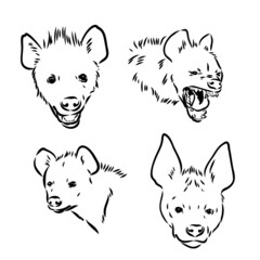 Vector hand drawn doodle sketch hyena isolated on white background