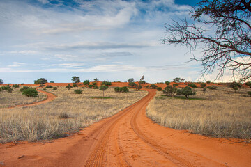 Beautiful landscape with vivid colours in Kalahari desert of Namibia. - obrazy, fototapety, plakaty