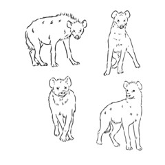Vector hand drawn doodle sketch hyena isolated on white background