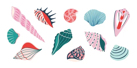 Foto auf Alu-Dibond Set of colorful sea shells. Vector flat illustration © tannikart