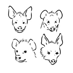 Vector hand drawn doodle sketch hyena isolated on white background
