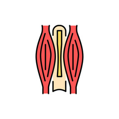 Swelling muscle color line icon. Pictogram for web page