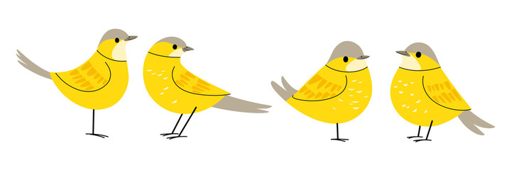 Cartoon bird icon set. Different poses of wagtail. Vector illustration for prints, clothing, packaging, stickers.