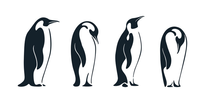 Silhouette of penguin. Cute animals illustration. Vector print for  poster, postcard, pattern.
