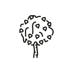 Birch tree color line icon. Pictogram for web page