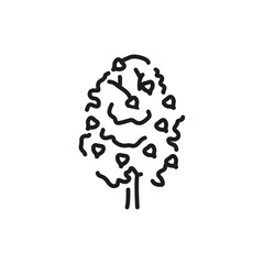 Linden tree color line icon. Pictogram for web page