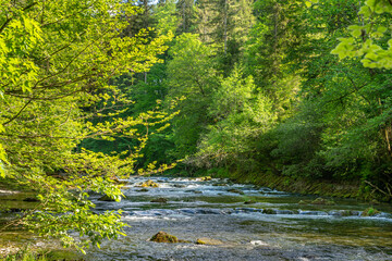 Landschaftsidylle an der Mangfall