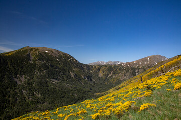 Paysages du Capcir, sur le plateau des Camporeils