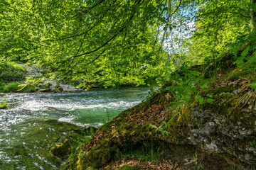 Obraz premium Dicht bewachsener Felshügel an der Mangfall